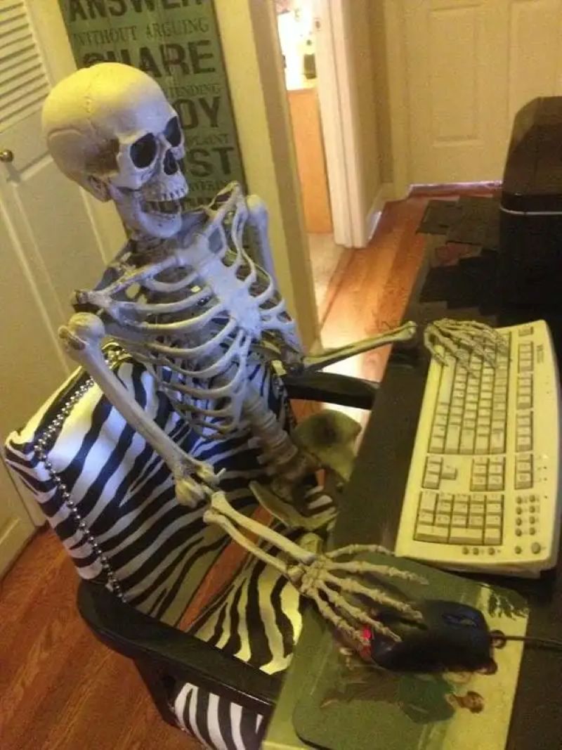 Skeleton using computer in a zebra-patterned chair, humorous office theme, 1024x768, HD.