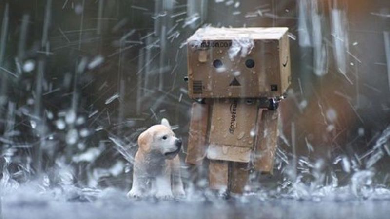 Hình nền mưa rơi với robot giấy và chú chó dễ thương, độ phân giải 450x800, chất lượng HD, cảm giác lãng mạn.