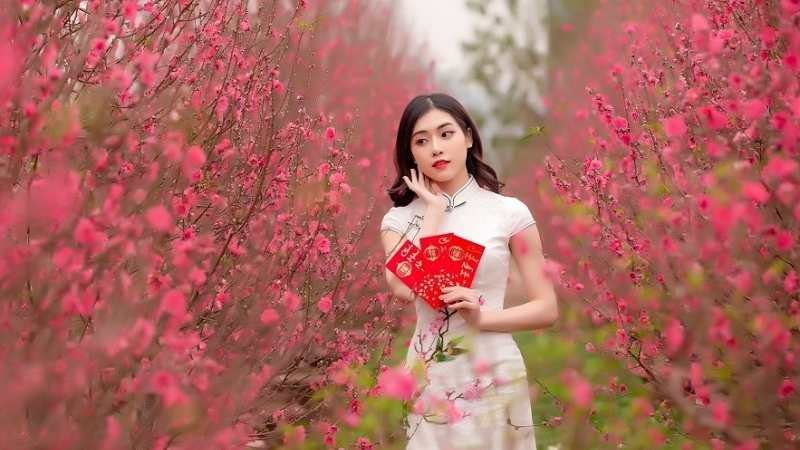 Tải Ngay 101+ Hình Nền Hoa Đào Tết 4K Đẹp Cho Máy Tính, Điện Thoại