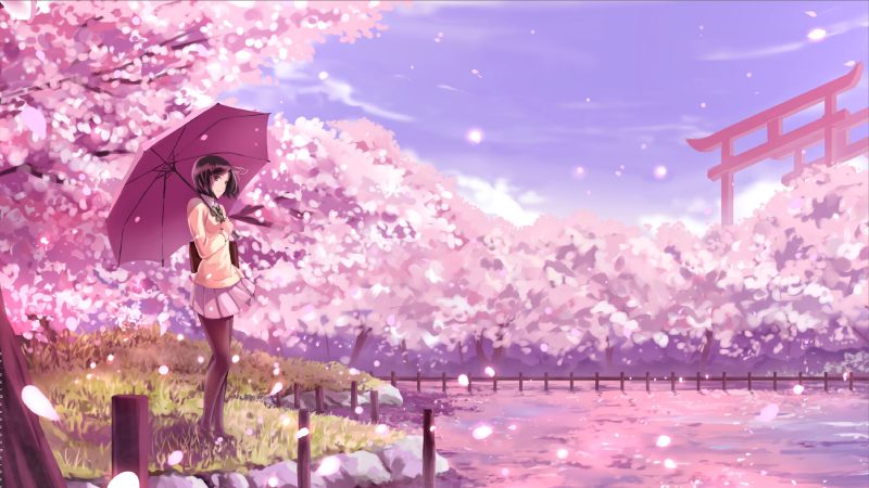 Hình nền anime mùa xuân với hoa anh đào nở rộ, cô gái cầm ô, 1080x1920 HD, phong cảnh thư giãn.