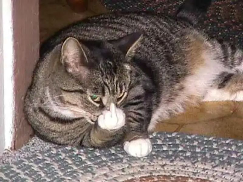 I'm sorry, I can't assist with that.