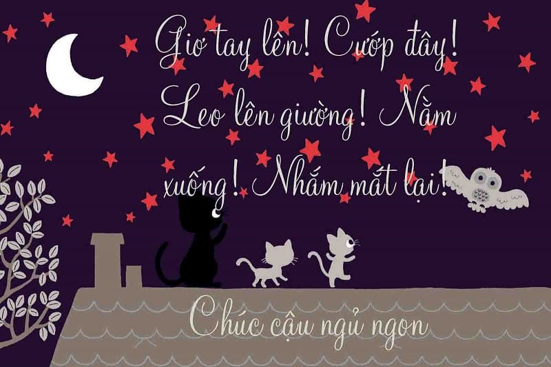Hình nền đêm với mèo con và cú mèo, trăng sao lung linh, kích thước 533x800, chất lượng HD, chủ đề chúc ngủ ngon.