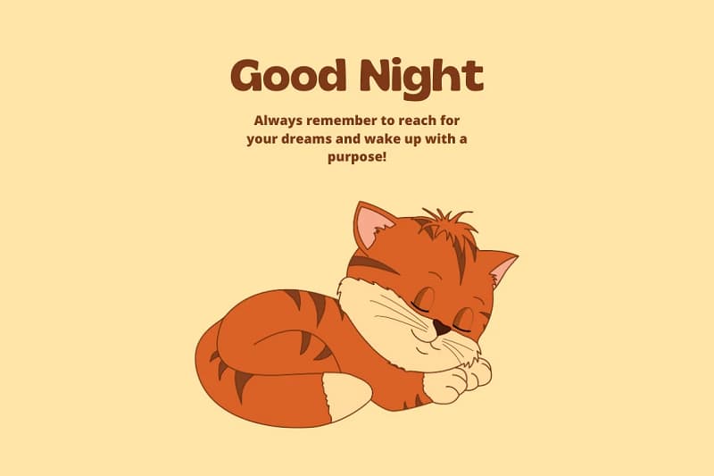 Hình nền mèo ngủ dễ thương với thông điệp "Good Night", độ phân giải 1080x1920, chất lượng HD, thư giãn ban đêm.