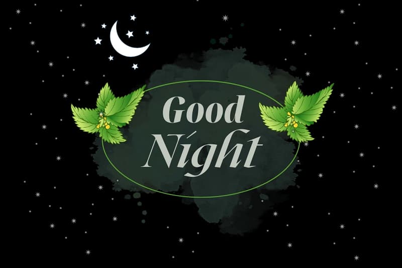 Hình nền "Good Night" với trăng và lá xanh, độ phân giải 1080x1920, chất lượng HD, chủ đề đêm yên bình.