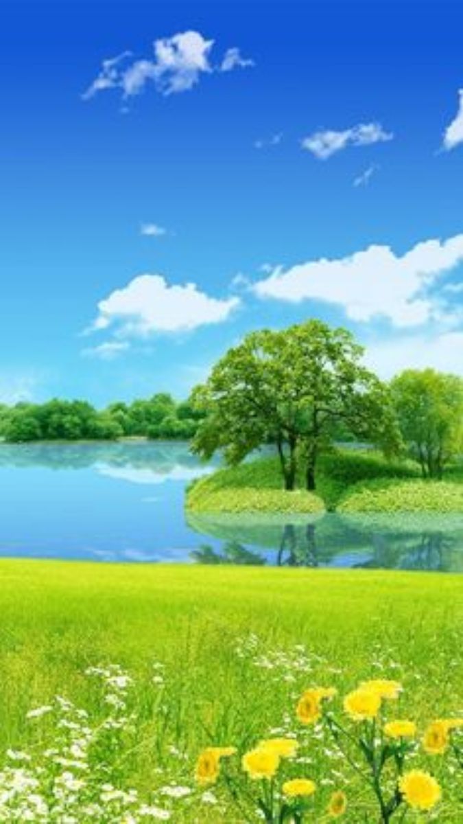 Phong cảnh thiên nhiên tươi đẹp với hoa vàng và cây xanh bên hồ, độ phân giải 1080x1920, chất lượng HD.