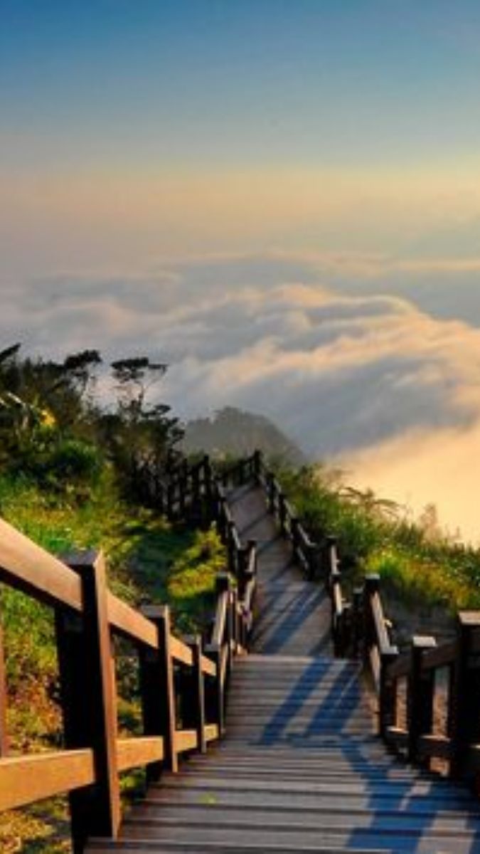 Con đường gỗ hướng đến biển mây, phong cảnh thiên nhiên tuyệt đẹp, độ phân giải 1200x675, chất lượng HD.