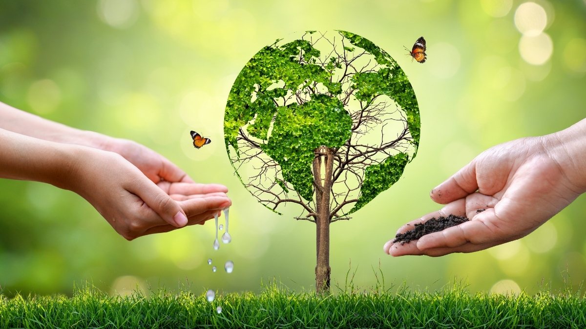 Hình nền bảo vệ môi trường với trái đất từ cây xanh, bướm, nước, đất. Độ phân giải 1080x1920, chất lượng HD.