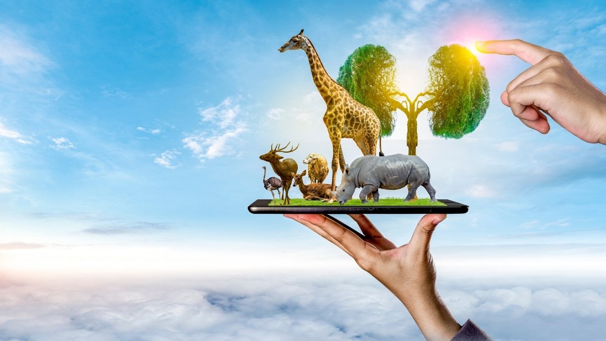 Hình nền động vật hoang dã, 1080x1920 HD, sáng tạo với thiên nhiên và công nghệ, phong cảnh bầu trời xanh.
