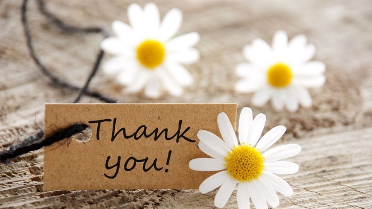 Hoa cúc trắng và thẻ "Thank you" trên nền gỗ, hình nền HD 1080x1920, tạo cảm giác ấm áp và biết ơn.