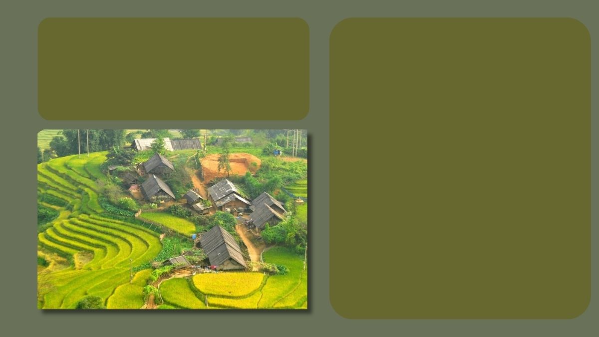 Hình nền ruộng bậc thang và làng quê, độ phân giải 1080x1920, chất lượng HD, phong cảnh thiên nhiên, đồng quê.
