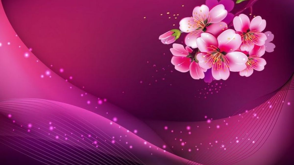 hinh-nen-powerpoint-hoa-24 Hình nền hoa anh đào trên nền tím, ấn tượng và sắc nét, độ phân giải 1080x1920, chất lượng HD.