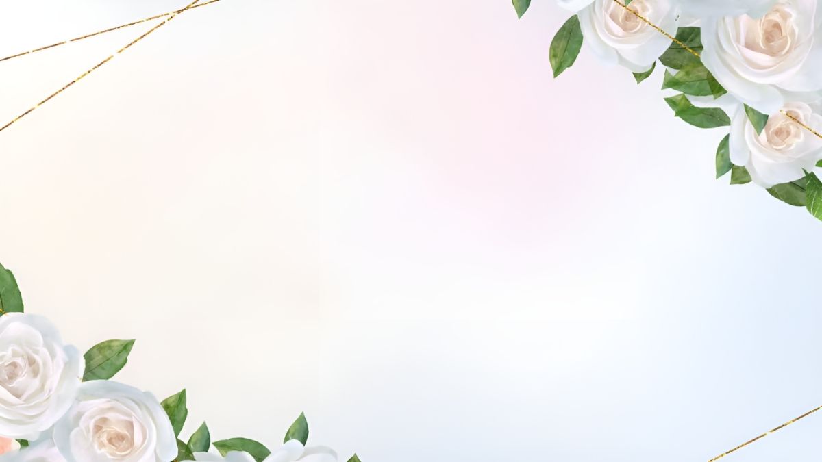 Hình nền hoa hồng trắng, bố cục tinh tế, độ phân giải 675x1200, chất lượng HD. Từ khóa: hoa, nền, nhẹ nhàng.