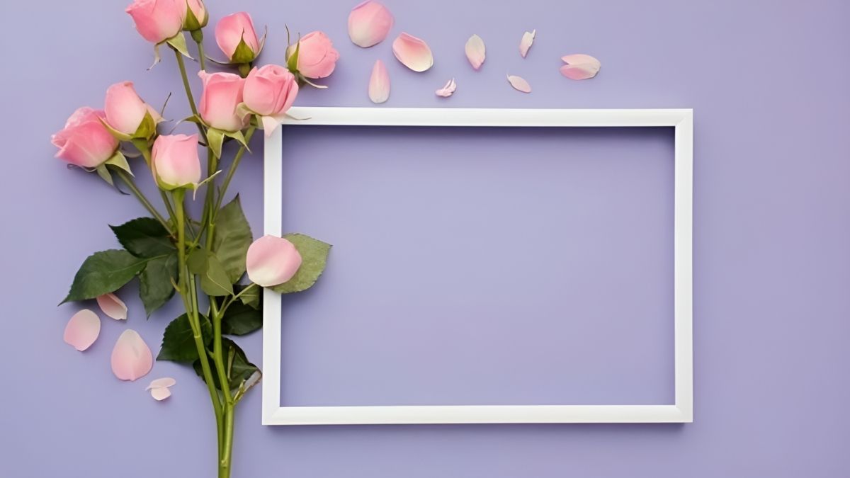 Khung trắng và hoa hồng trên nền tím, 1080x1920, HD, chủ đề trang trí, ảnh nền, sáng tạo, nghệ thuật hoa.