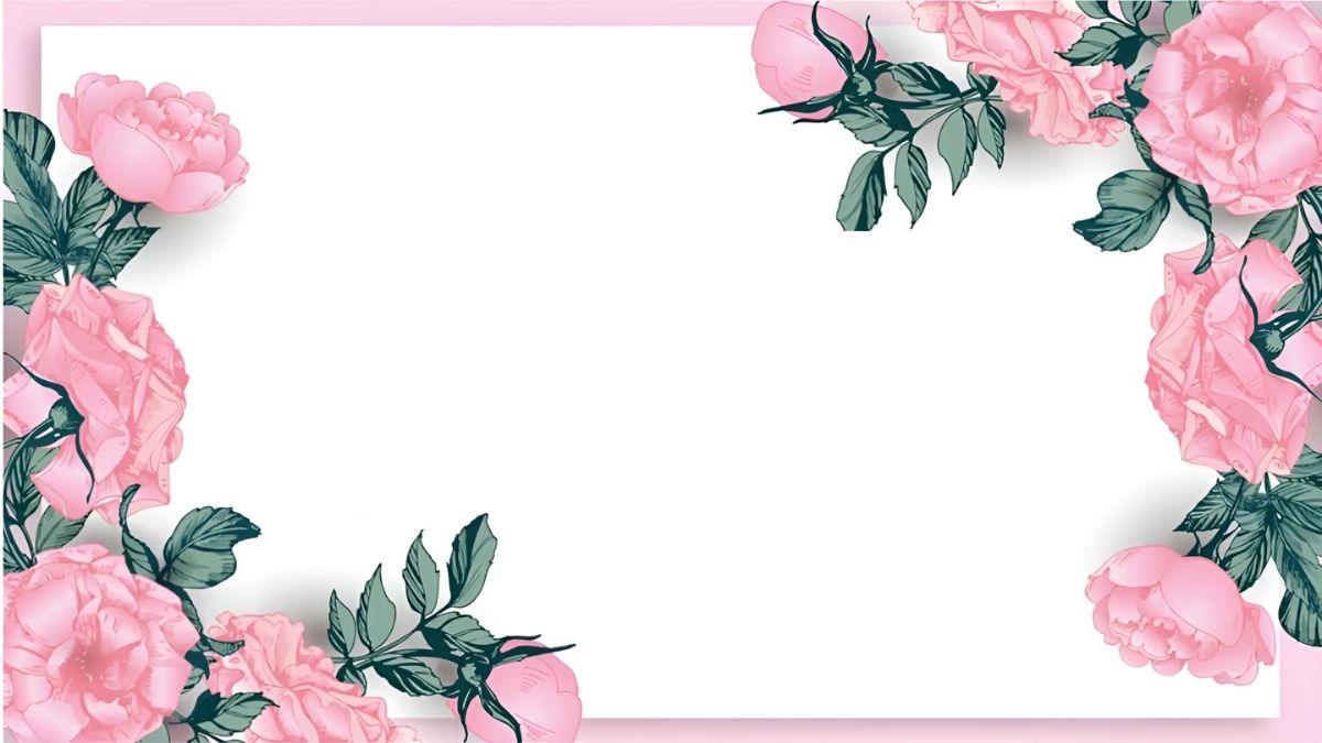 Nền hoa hồng hồng, độ phân giải 675x1200, chất lượng HD, hình nền đẹp, chủ đề hoa lá, trang trí tinh tế.