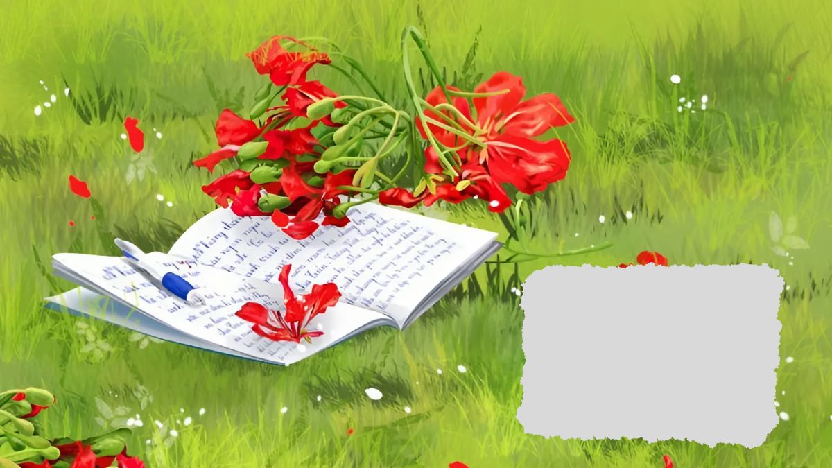 Hình nền PowerPoint hoa phượng phù hợp cho các bài thuyết trình về mùa hè