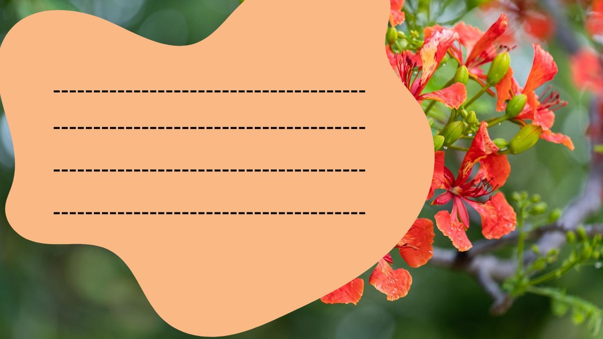 Hình nền hoa đỏ rực rỡ, độ phân giải 1080x1920, chất lượng HD, tạo điểm nhấn thiên nhiên tươi sáng.