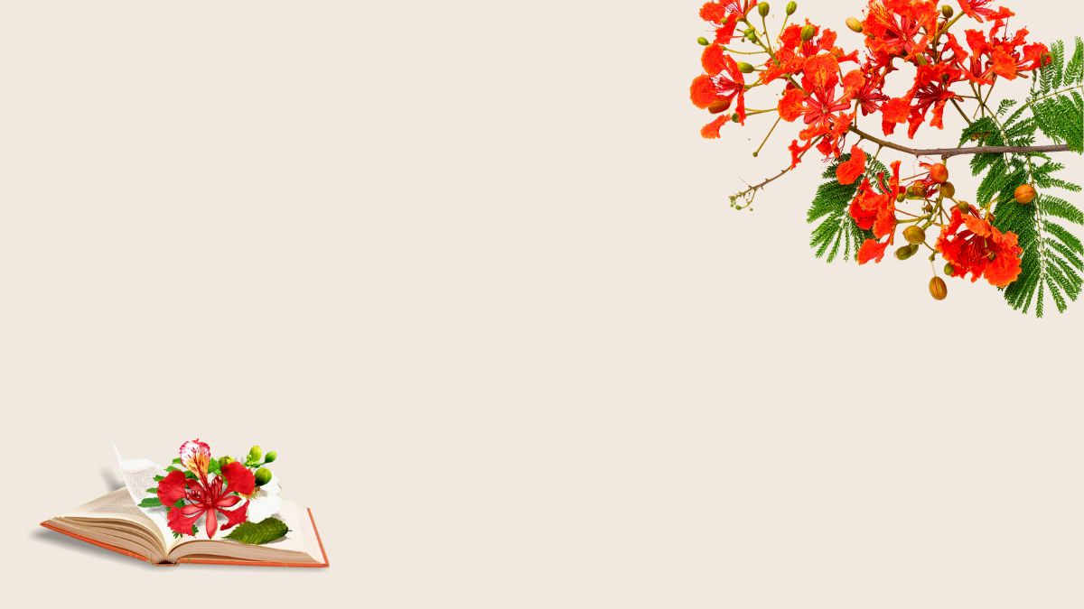 Hình nền hoa phượng rực rỡ trên nền sách mở, độ phân giải 1080x1920, chất lượng HD, ý nghĩa mùa hè.