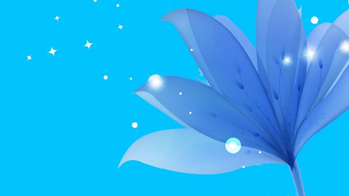 hinh-nen-powerpoint-mau-xanh-duong-nhat-15 Hình nền hoa xanh huyền ảo trên nền trời sao, độ phân giải 1080x1920, chất lượng HD, tạo cảm giác thư giãn.