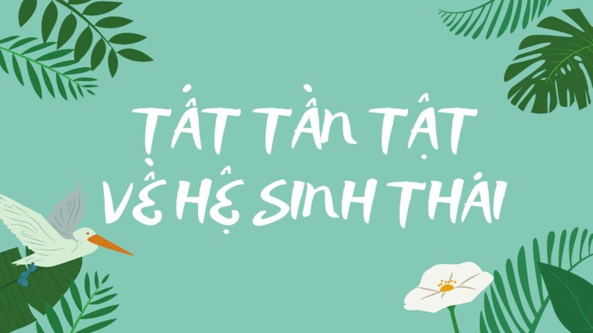 hinh-nen-slide-mo-dau-powerpoint-101 Hình nền hệ sinh thái với lá xanh và chim, chữ "Tất Tần Tật Về Hệ Sinh Thái", độ phân giải 675x1200 HD.