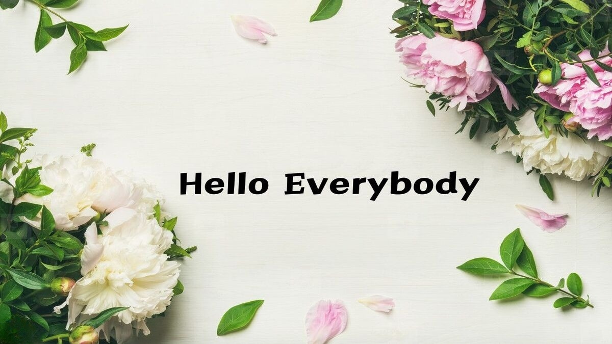 hinh-nen-slide-mo-dau-powerpoint-107 Hình nền hoa mẫu đơn trắng và hồng trên nền trắng, chữ "Hello Everybody", 1080x1920, chất lượng HD.