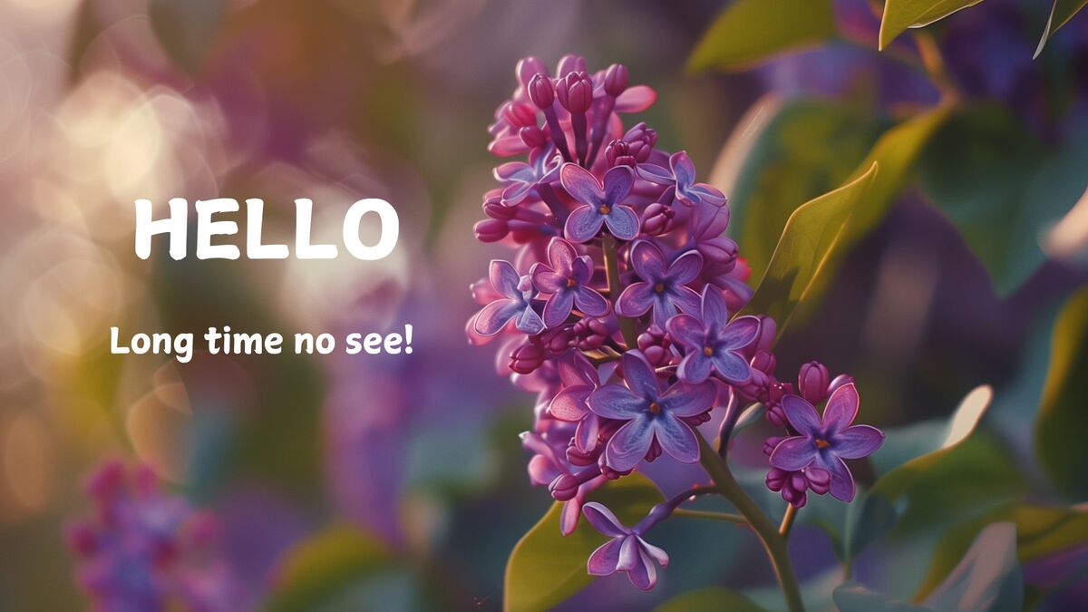 hinh-nen-slide-mo-dau-powerpoint-110 Hình nền hoa tử đinh hương tím, dòng chữ "Hello", độ phân giải 1080x1920, chất lượng HD, cảm giác chào đón mùa xuân.