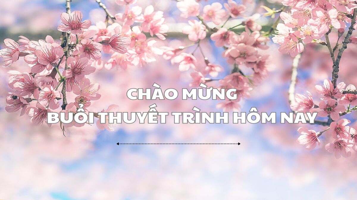 hinh-nen-slide-mo-dau-powerpoint-111 Hình nền hoa anh đào nở rộ, chữ "Chào mừng buổi thuyết trình hôm nay", độ phân giải 1080x1920, chất lượng HD.