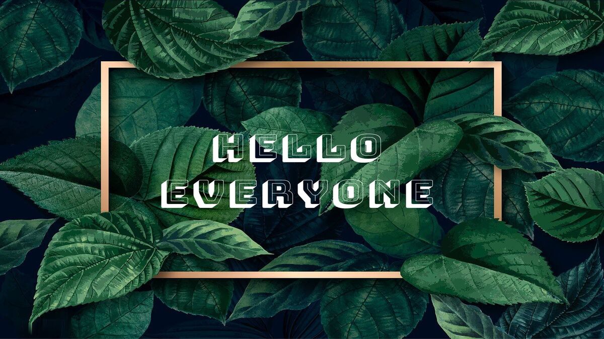 hinh-nen-slide-mo-dau-powerpoint-118 Hình nền lá xanh với chữ "Hello Everyone" nổi bật, độ phân giải 1080x1920, chất lượng HD, thiết kế thiên nhiên.