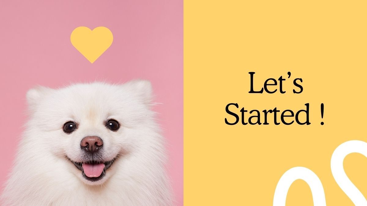 hinh-nen-slide-mo-dau-powerpoint-41 Chó trắng dễ thương với nền hồng và chữ "Let's Started!", độ phân giải 1080x1920, chất lượng HD.