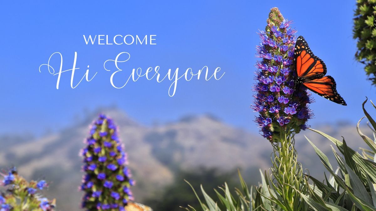 hinh-nen-slide-mo-dau-powerpoint-44 Hình nền cánh bướm trên hoa tím, núi xa xăm, chữ "Welcome Hi Everyone", độ phân giải 1080x1920, chất lượng HD.
