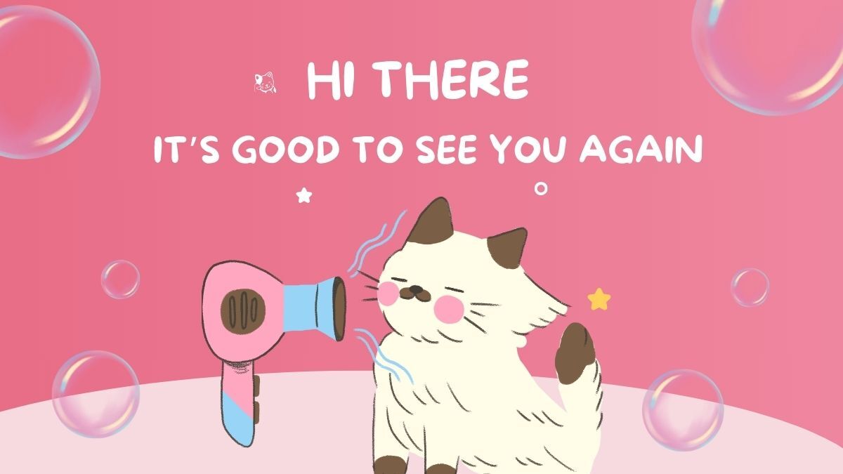 hinh-nen-slide-mo-dau-powerpoint-50 Hình nền dễ thương với mèo và máy sấy tóc, chữ "Hi There", độ phân giải 1080x1920, chất lượng HD.