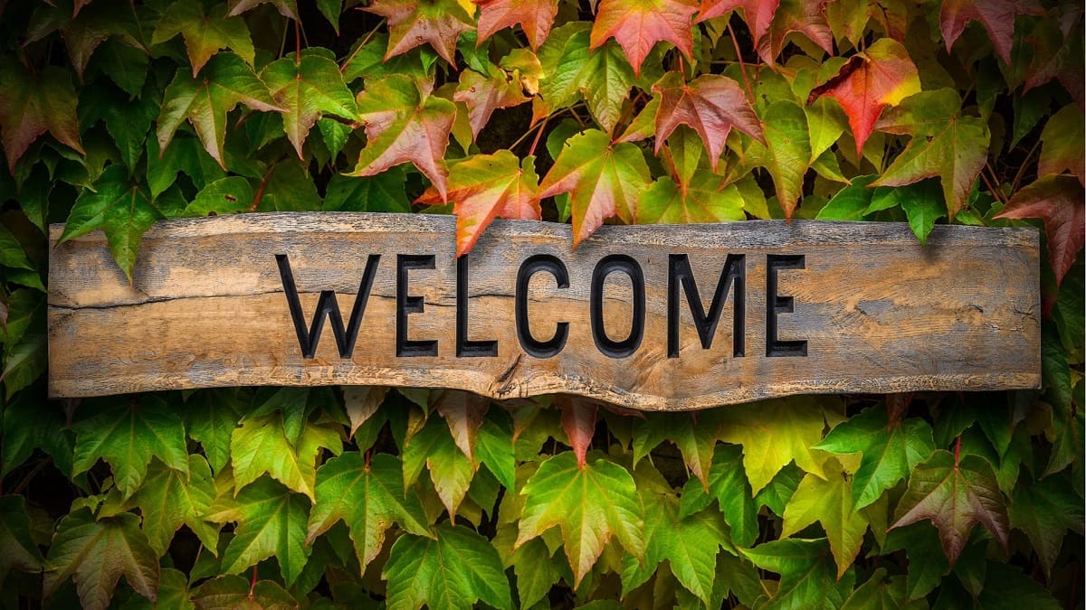 hinh-nen-slide-mo-dau-powerpoint-78 Bảng gỗ "Welcome" trên nền lá mùa thu, độ phân giải 1080x1920, chất lượng HD, ảnh nền thiên nhiên đẹp.
