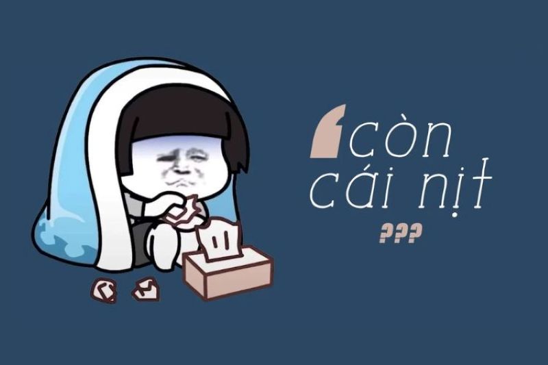 Hình nền meme hài hước, nhân vật hoạt hình chăn xanh, chữ "còn cái nịt", độ phân giải 533x800, chất lượng HD.