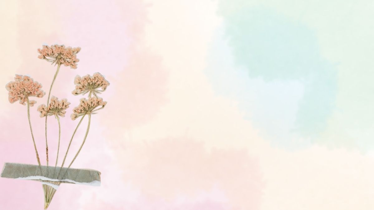 Hoa khô trên nền màu pastel dịu dàng, độ phân giải 1080x1920, hình ảnh HD, lý tưởng cho hình nền sáng tạo.