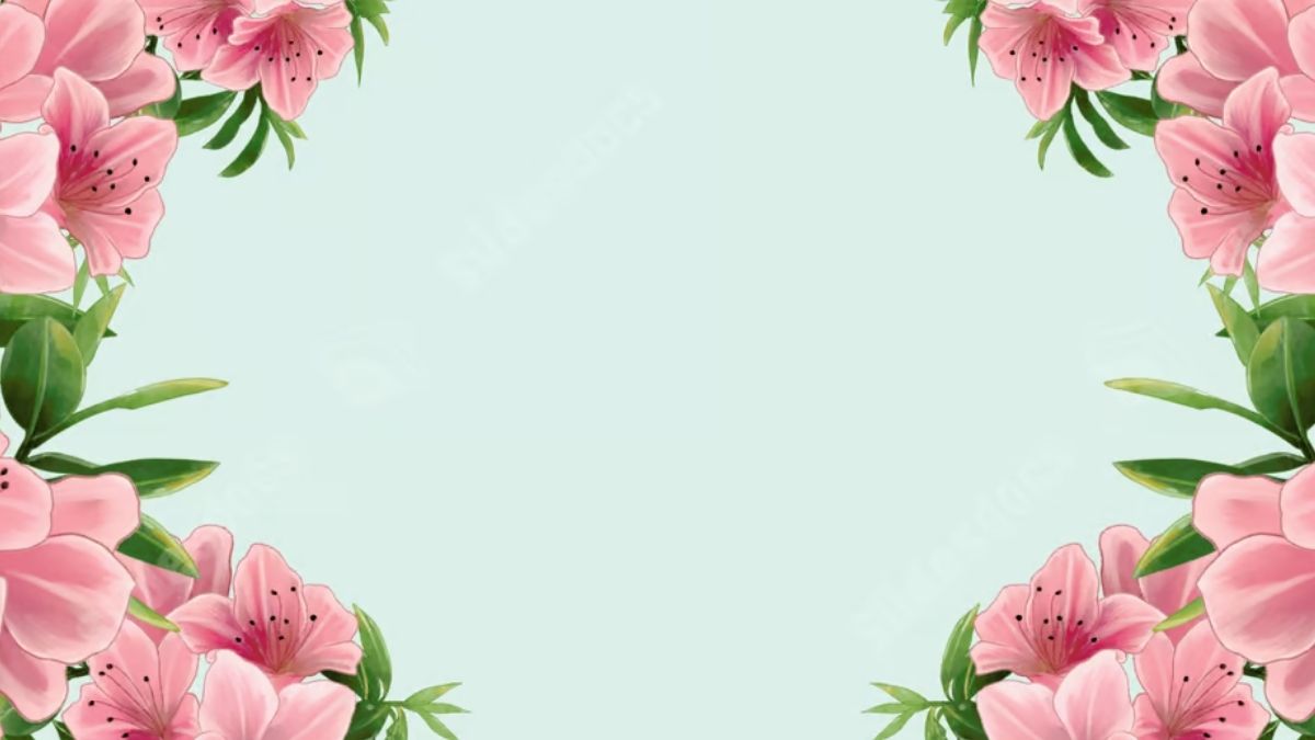 Hình nền hoa hồng hồng thanh lịch, độ phân giải 1080x1920, chất lượng HD, phù hợp thiết kế và trang trí.