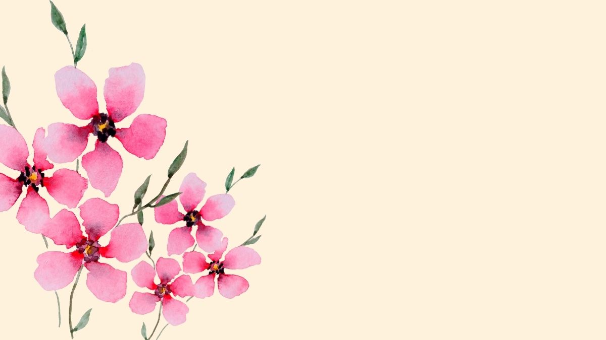Hình nền hoa nước màu hồng tinh tế, độ phân giải 1080x1920, chất lượng HD, tạo cảm giác nhẹ nhàng và thư giãn.