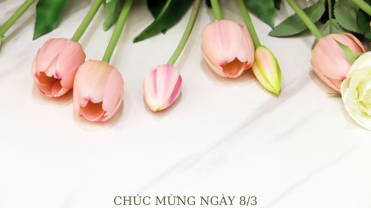 powerpoint-8-3-96 Tulip hồng nền trắng với chữ "Chúc Mừng Ngày 8/3", ảnh HD 675x1200, chủ đề hoa 8/3 tinh tế.