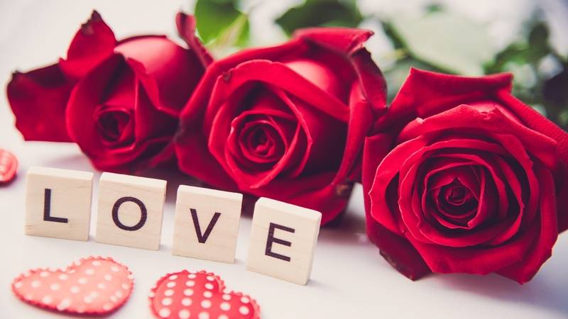 Hình nền hoa hồng đỏ và chữ "LOVE", chất lượng HD, độ phân giải 450x800, lãng mạn và ngọt ngào.