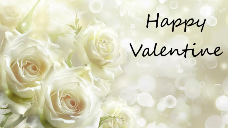 Hình nền hoa hồng trắng lãng mạn với chữ "Happy Valentine", độ phân giải 1080x1920, chất lượng HD.