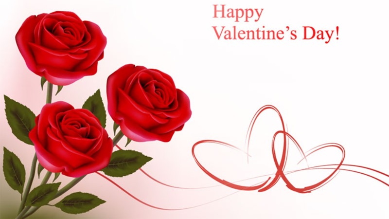 Hình nền hoa hồng đỏ Valentine, độ phân giải 450x800, chất lượng HD, nền trắng tinh tế, lãng mạn.