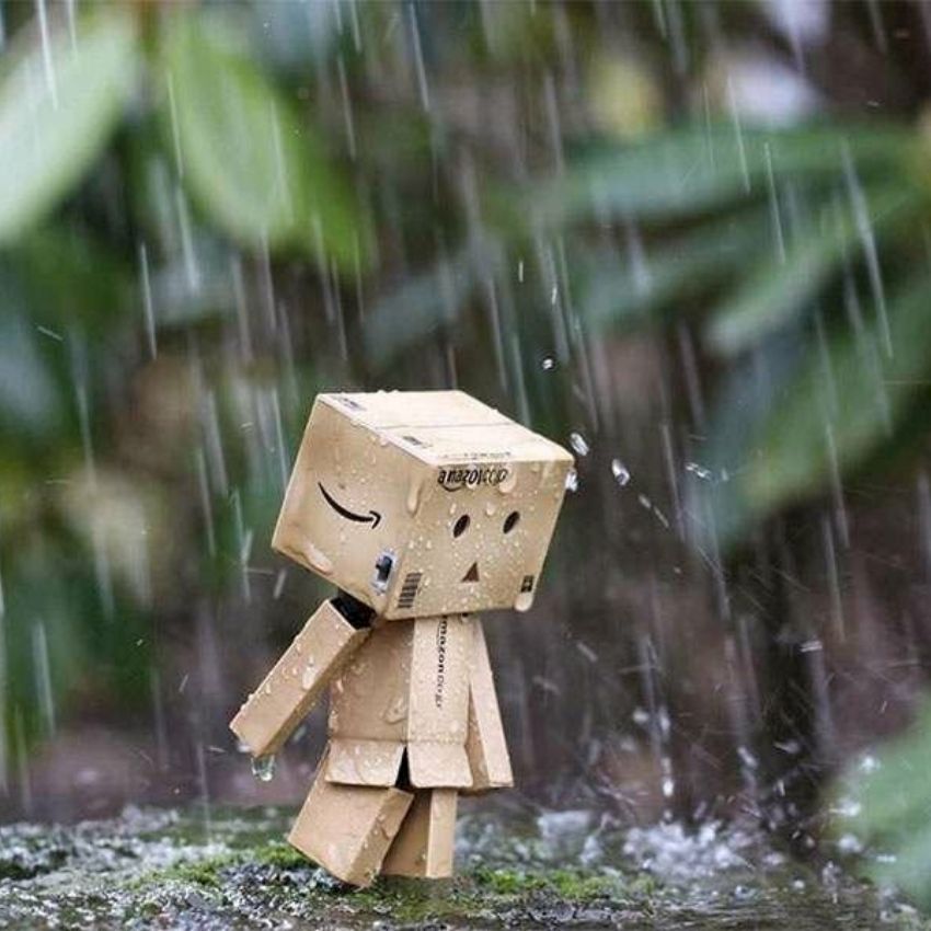 Hộp giấy Danbo dưới mưa, nền thiên nhiên xanh mướt, ảnh HD, 1080x1920, hình nền sinh động, cảm giác thư giãn.